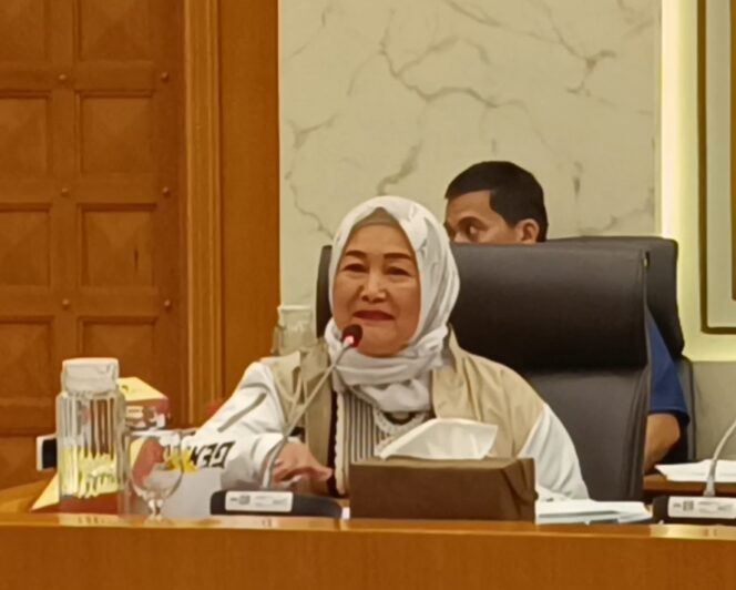 
					Dwita Ria Gunadi Anggota Komisi IV DPR RI saat menerima anggota Pansus Tata Niaga Singkong DPRD Provinsi Lampung, Rabu (05/02/2025) 