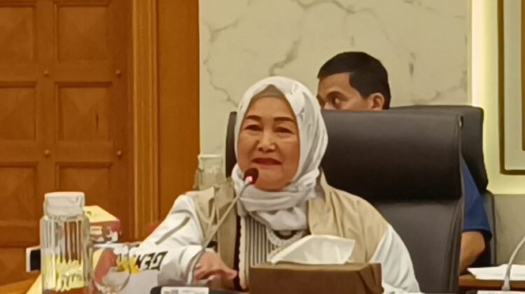 Dwita Ria Gunadi Anggota Komisi IV DPR RI saat menerima anggota Pansus Tata Niaga Singkong DPRD Provinsi Lampung, Rabu (05/02/2025) 