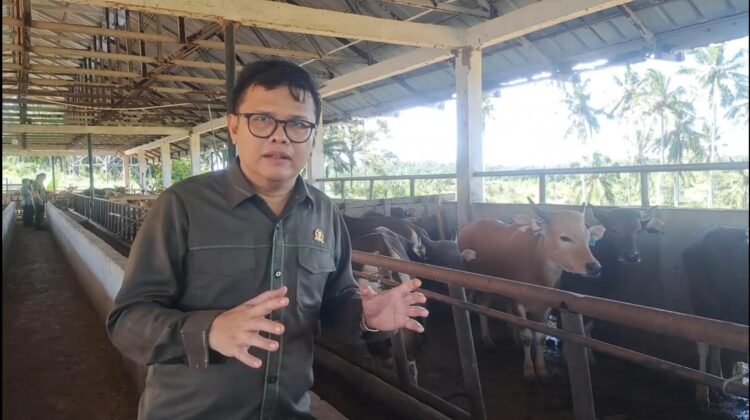 Fauzi Heri Anggota Komisi II DPRD Provinsi Lampung Fraksi Partai Gerindra